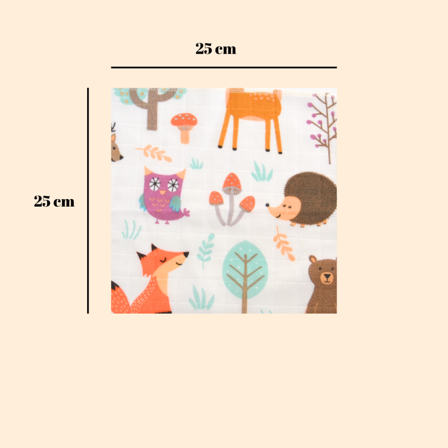 Ağız Mendili 5’li Set
